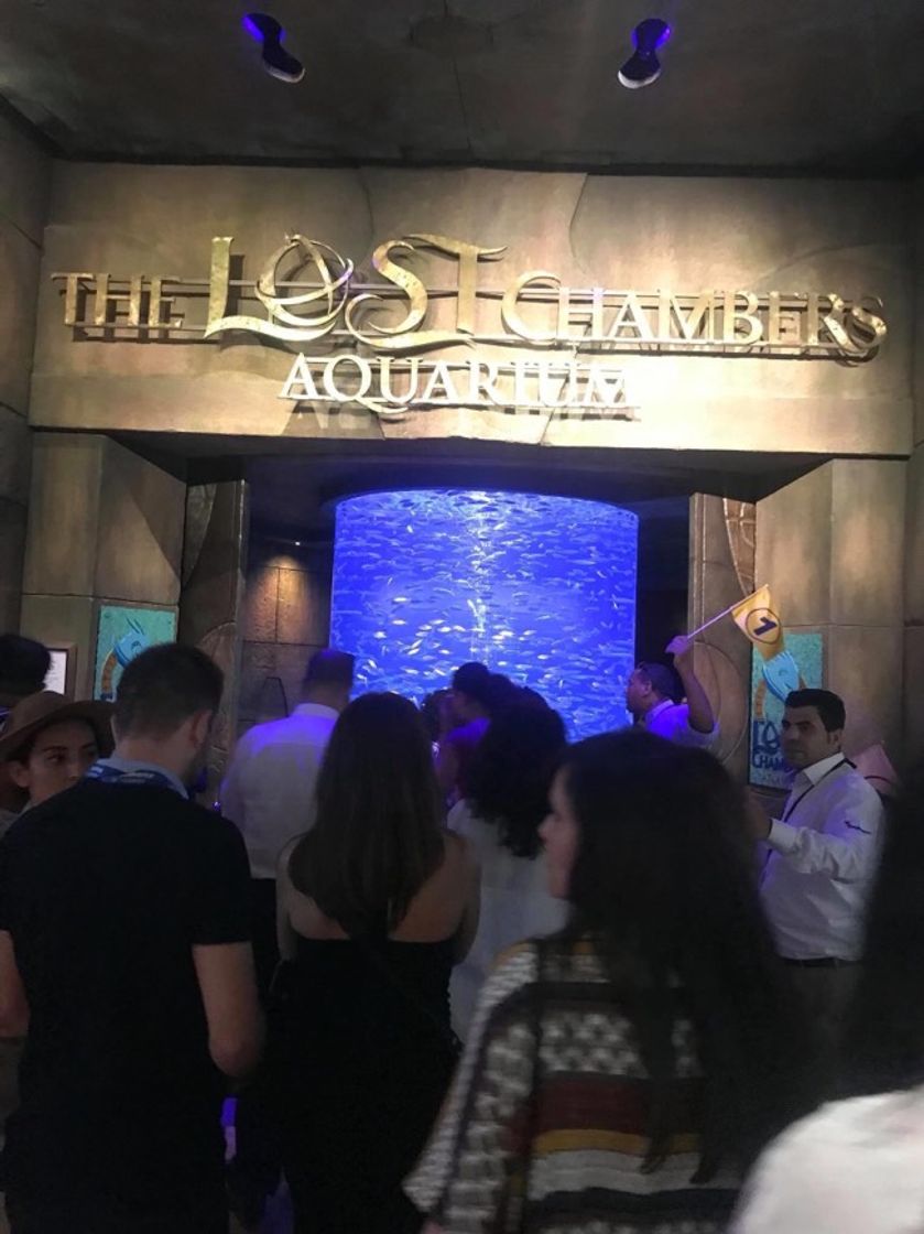 Place The Lost Chambers Aquarium