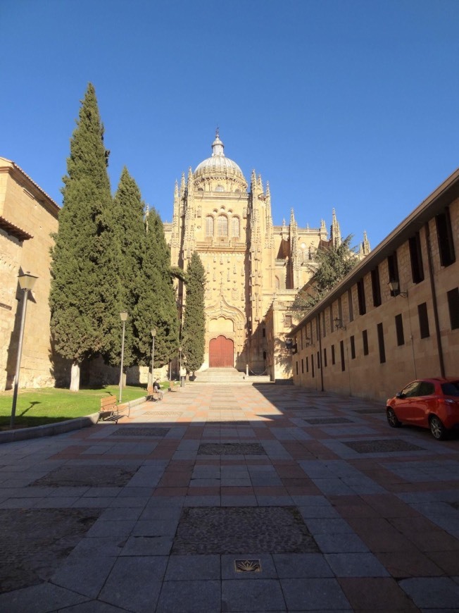 Place Catedral de Salamanca