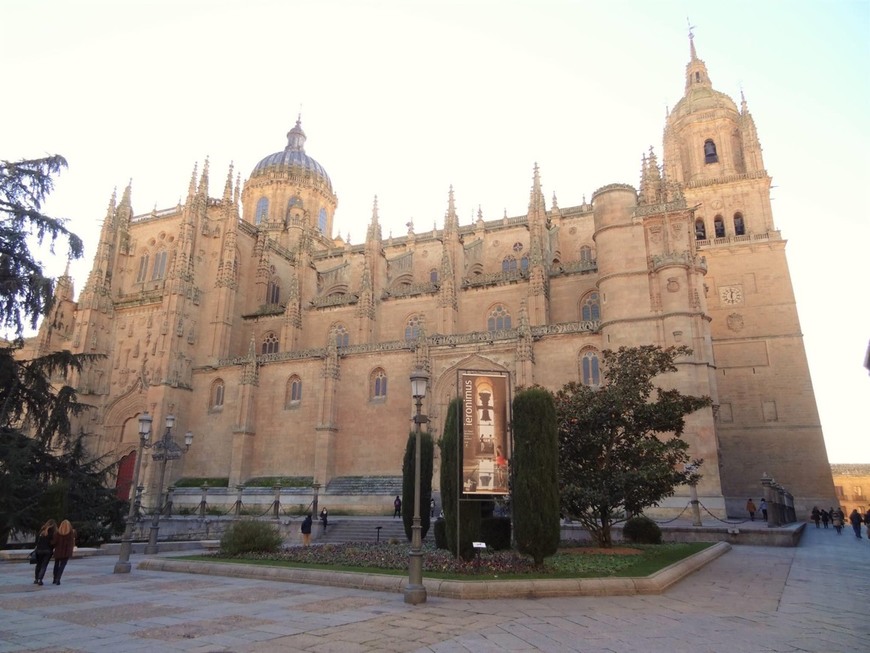 Place Catedral Vieja de Salamanca