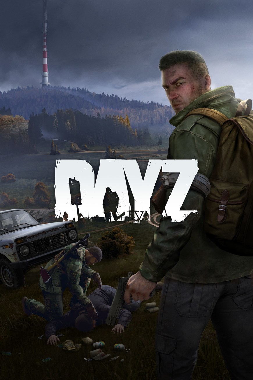 Videogames DayZ