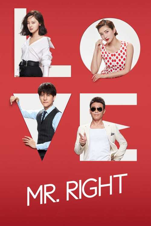 Serie Mr. Right