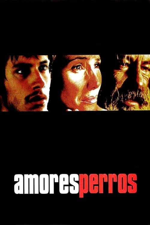 Película Amores perros