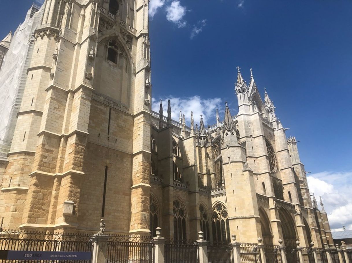 Place Catedral de León