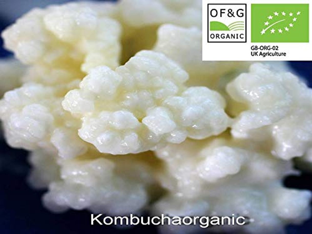 Producto KombuchaOrganic ® Granos de leche viva orgánica certificada kéfir