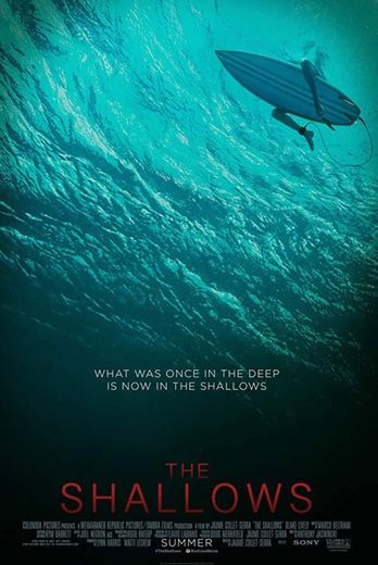 The Shallows