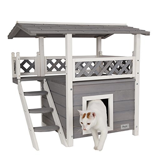 Lugar Petsfit Cat House Lodge