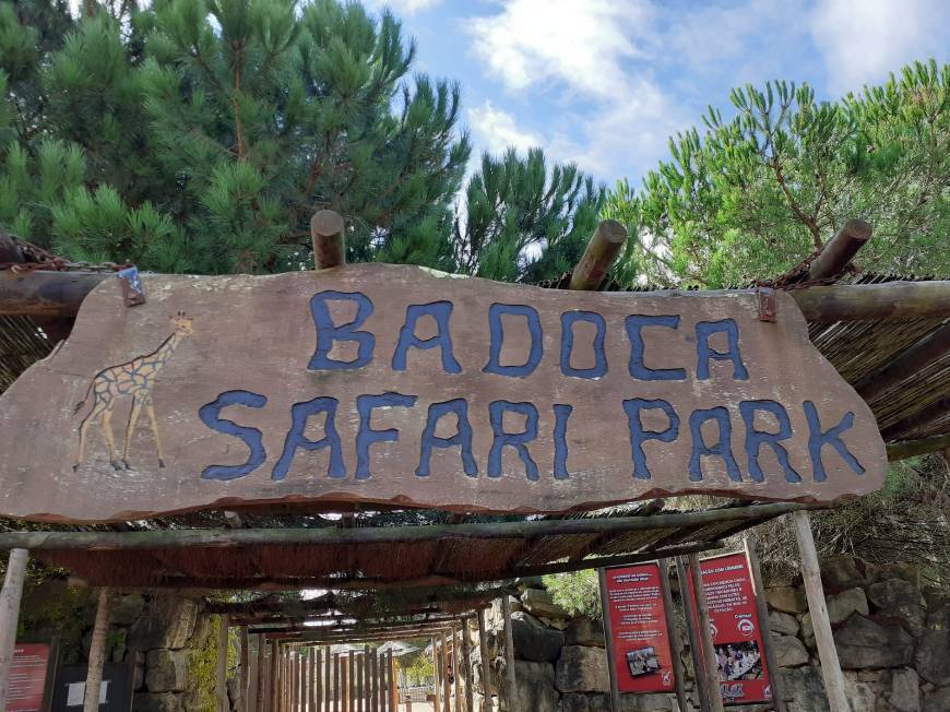 Lugar Badoca Safari Park