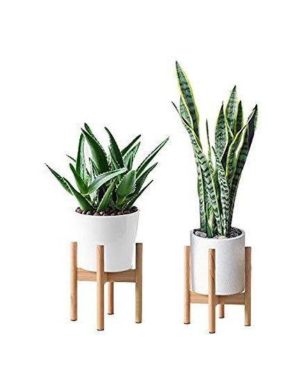 Products Suporte Plantas