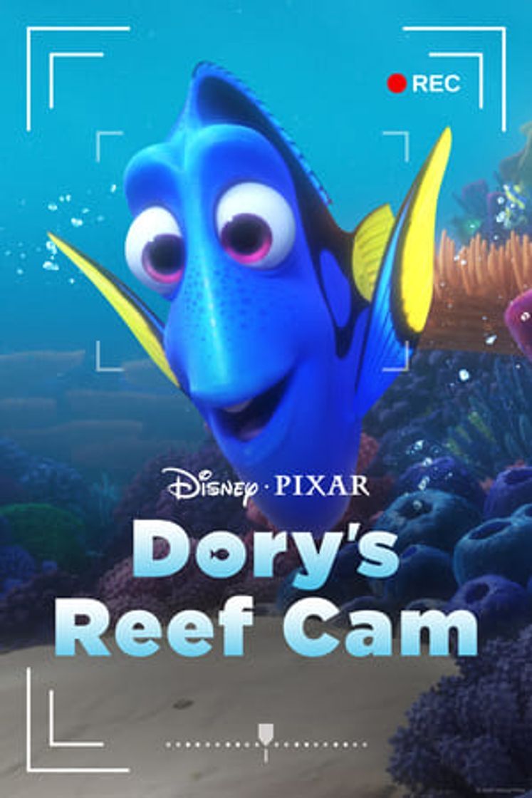 Movie La cámara del arrecife de Dory