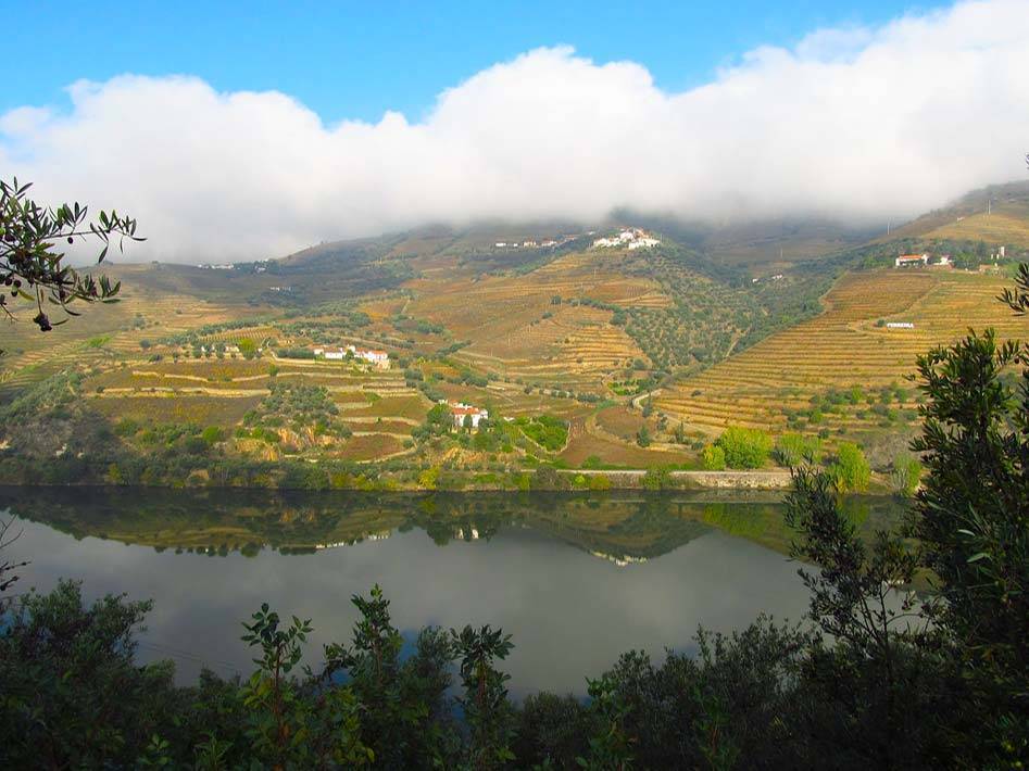 Social Douro