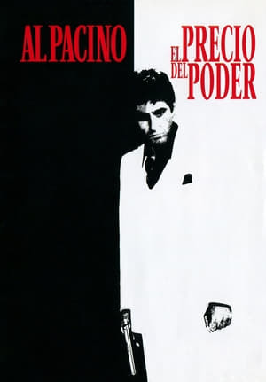Movie Scarface, el terror del Hampa