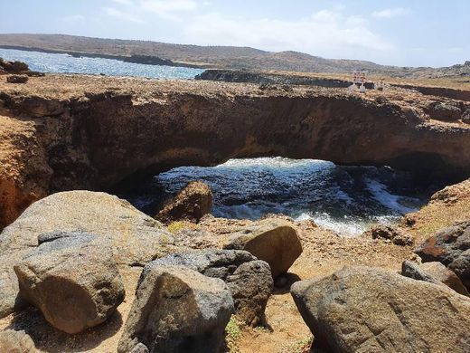 Natural Bridge - Rock Garden