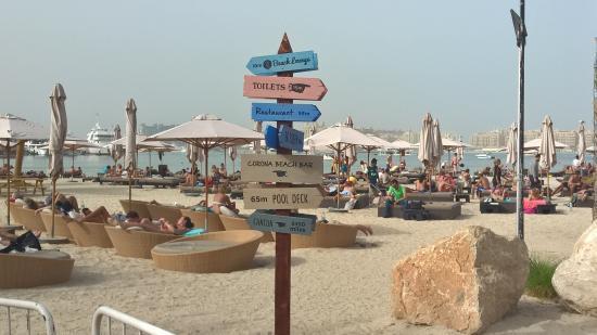 Restaurants Barasti Beach