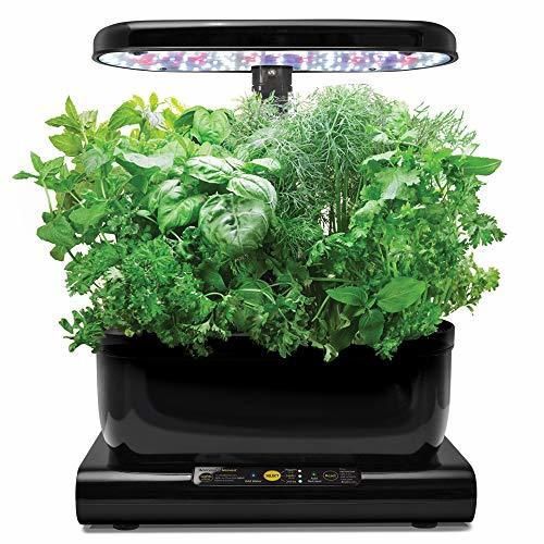 AeroGarden Harvest - Kit de cultivo interior smart garden