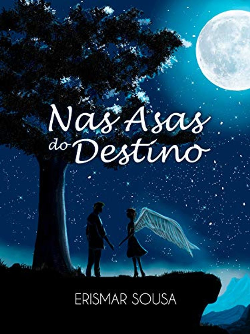 Book Nas Asas do Destino