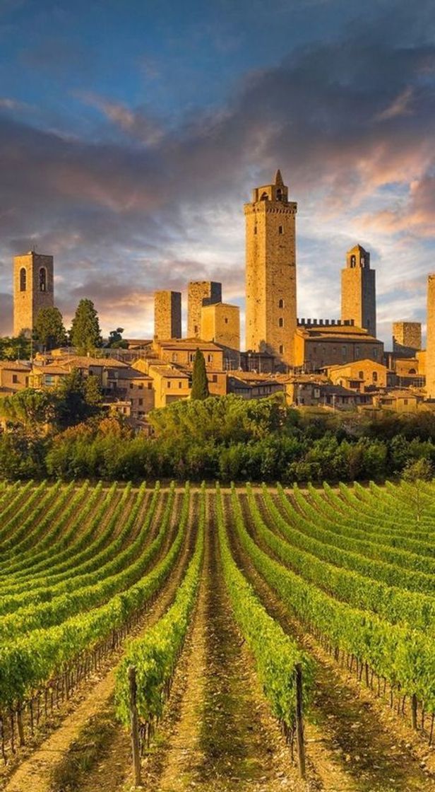 Place San Gimignano