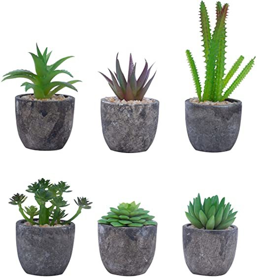 Social EKKONG Plantas Artificiales Suculentas Plásticas Flor pequeñas en Maceta para decoración del