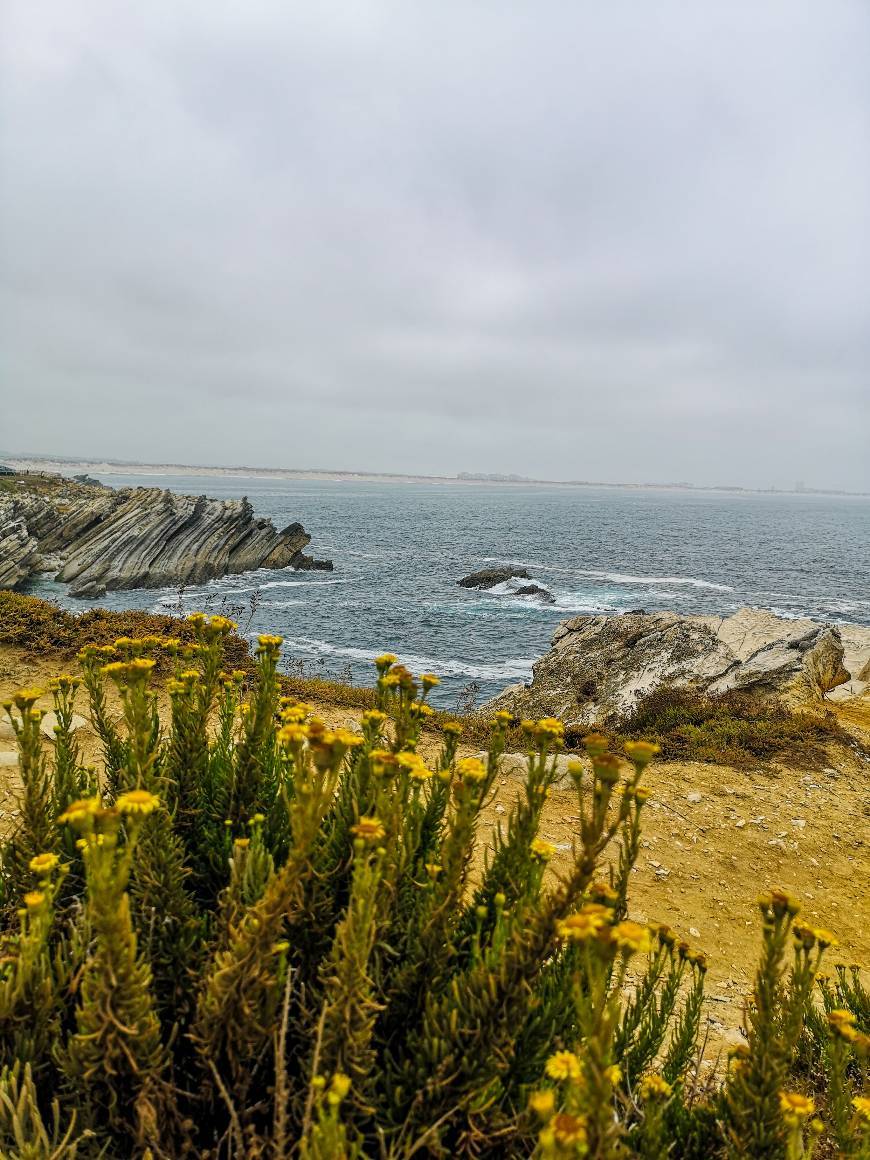 Place Baleal