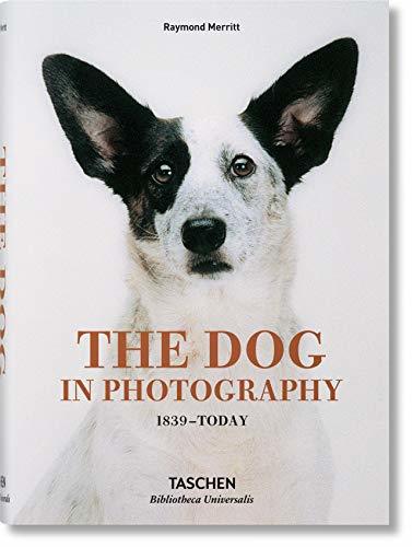 Books The Dog in Photography 1839–Today: BU