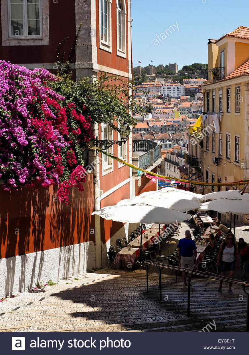 Restaurantes Calçada do Duque