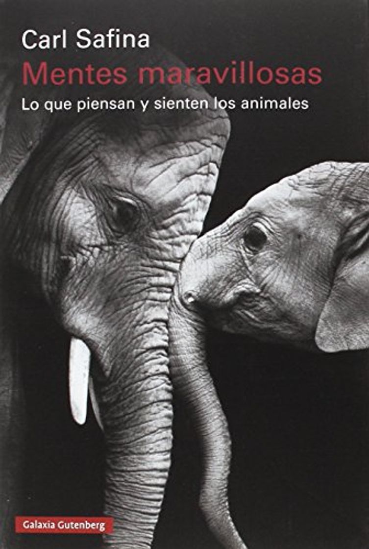 Libro Mentes maravillosas