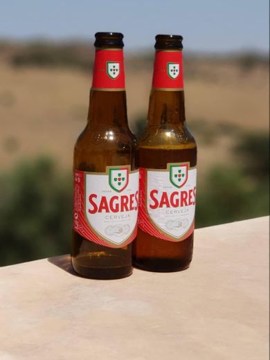 Sagres - Portugués Cerveza - 24 x 330ml - Alcohol. 5