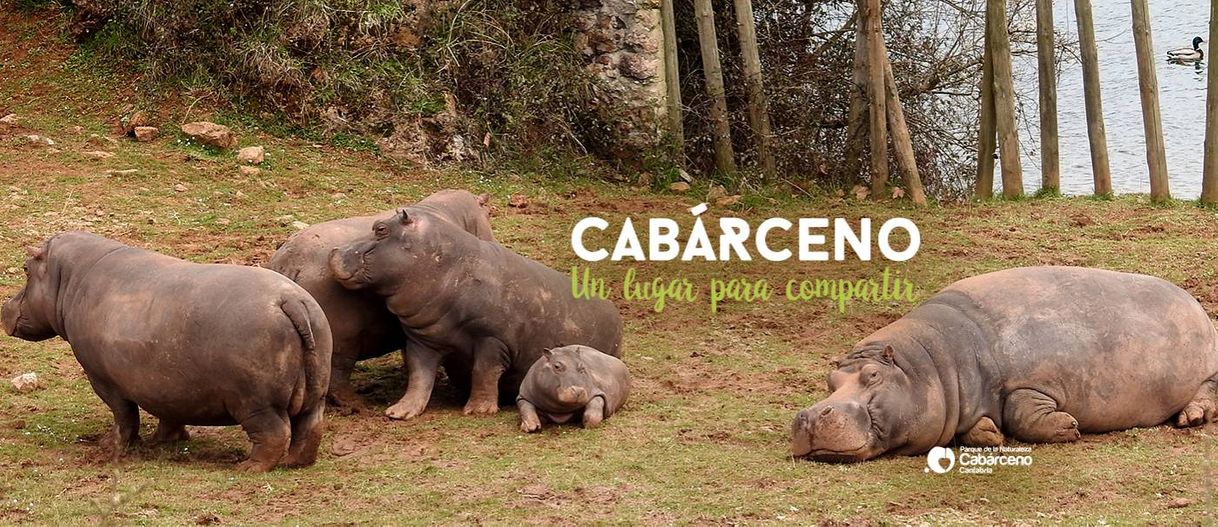 Restaurants Cabarceno