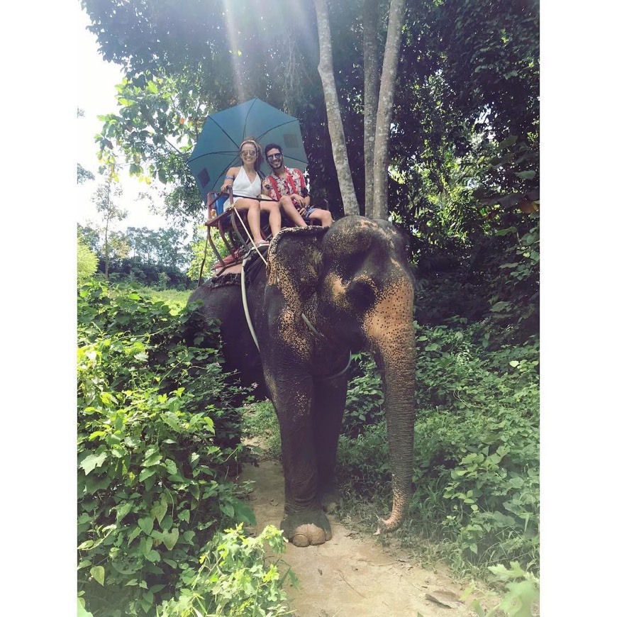 Place Phuket
