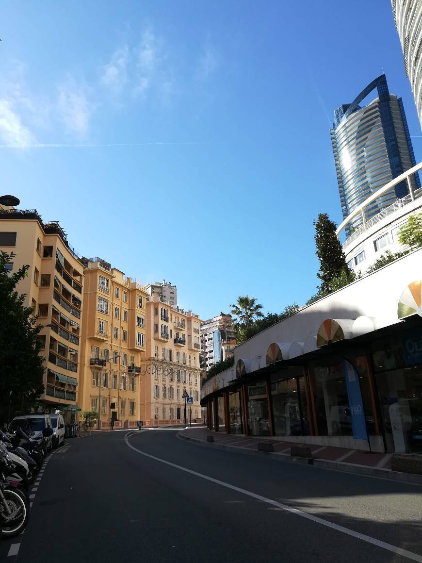 Place Monaco City