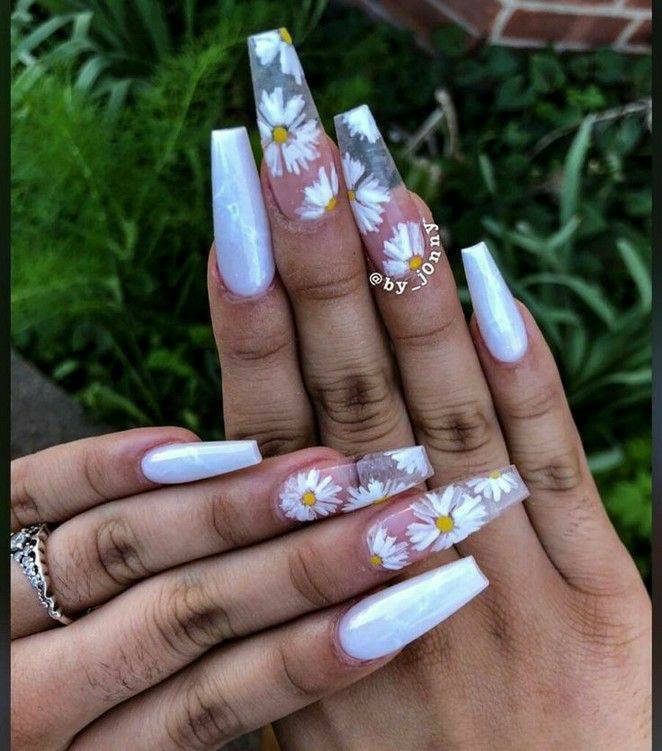 Social Sunflower