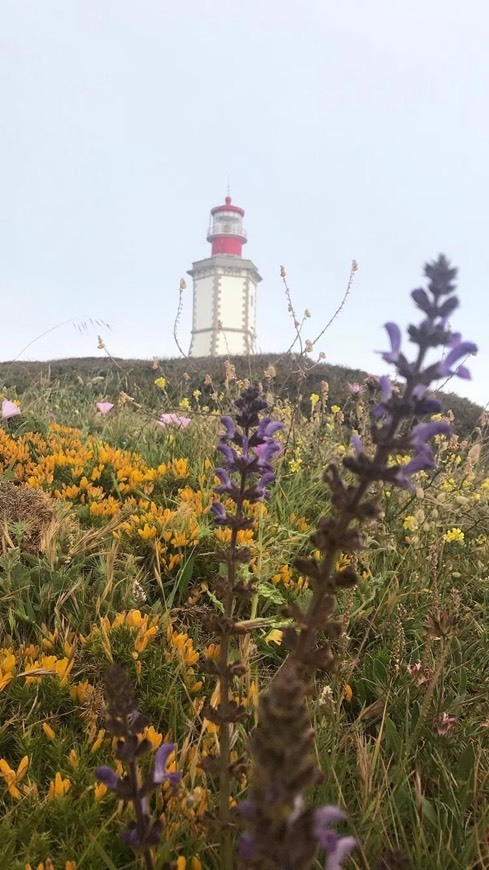 Lugar Farol do Cabo Espichel