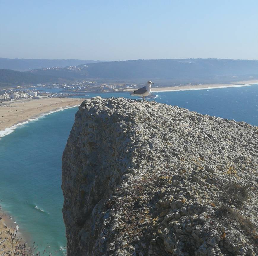 Place Nazaré