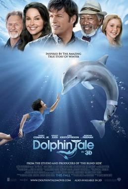 Película Winter, the Dolphin that Can