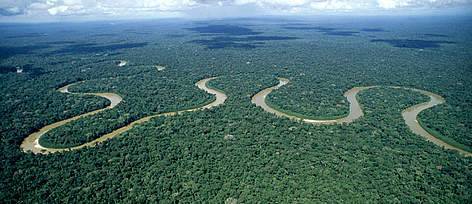 Lugar Amazonia