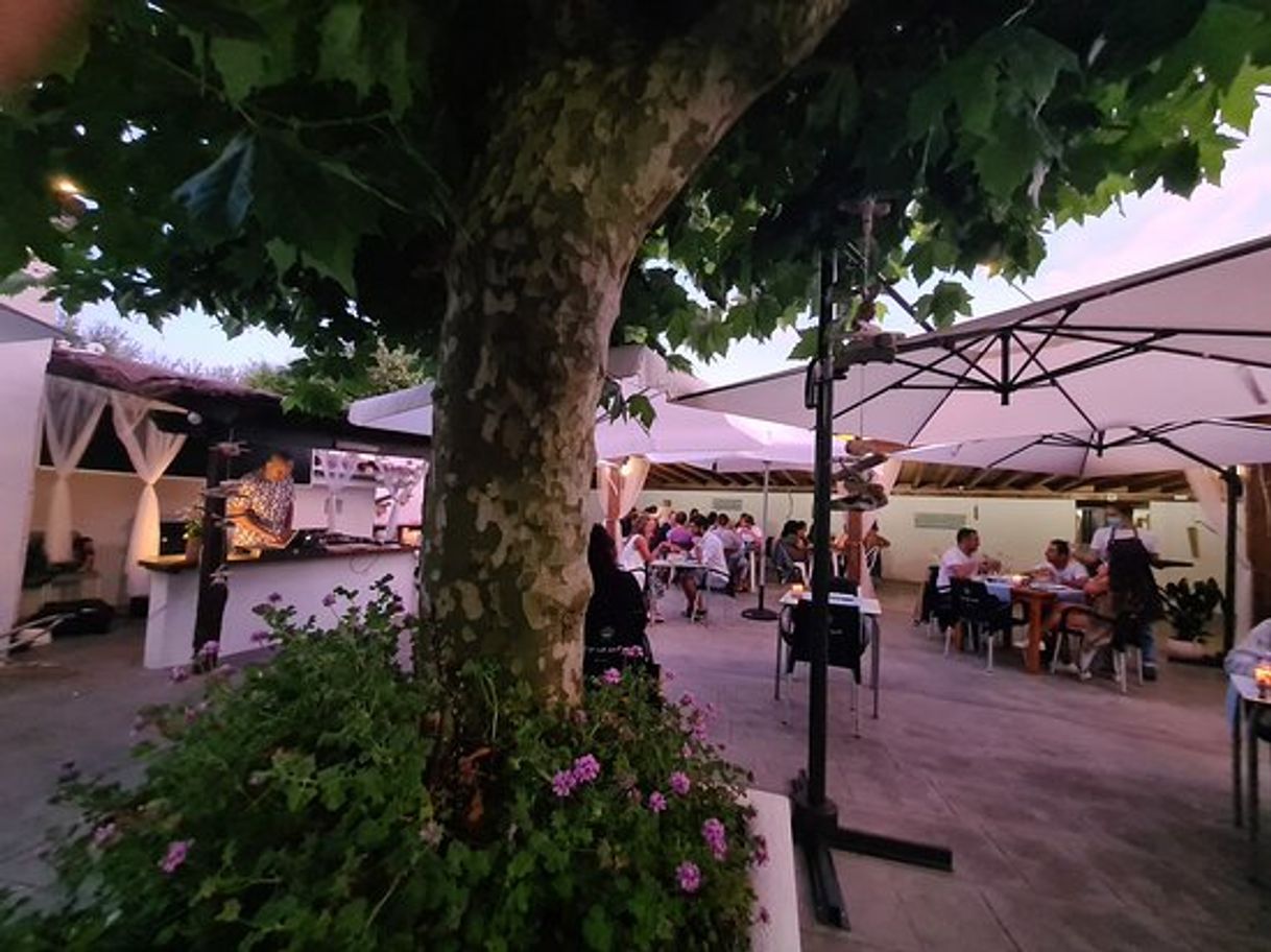 Restaurantes El Café Oyambre Beach