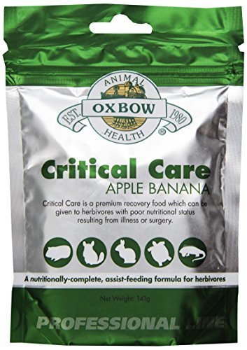 Lugares OXBOW Critical Care Apple Banana Animal Supplement Assist Feeding Formula 141g