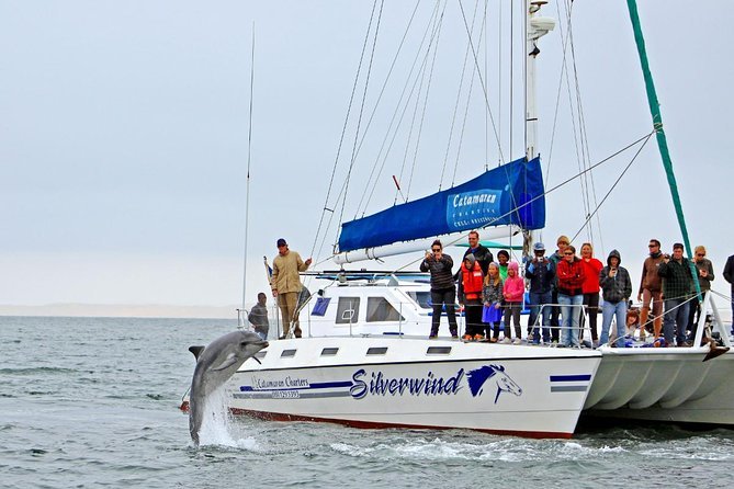 Place Namibia Dolphin and Seal Catamaran Cruises