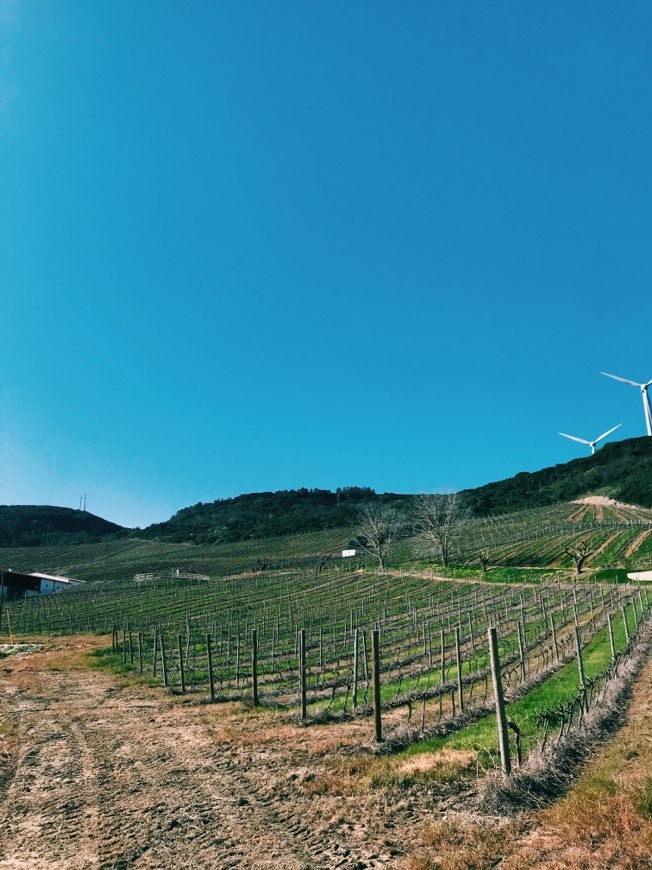 Lugar Quinta De Sao Sebastiao