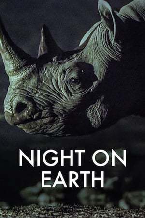 Serie Night on Earth