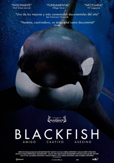 Documental Blackfish (en español)
