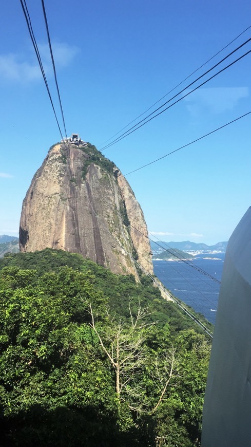 Place Pão de Açucar