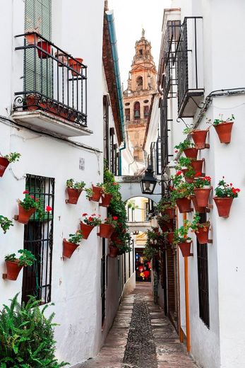 Calleja de las Flores