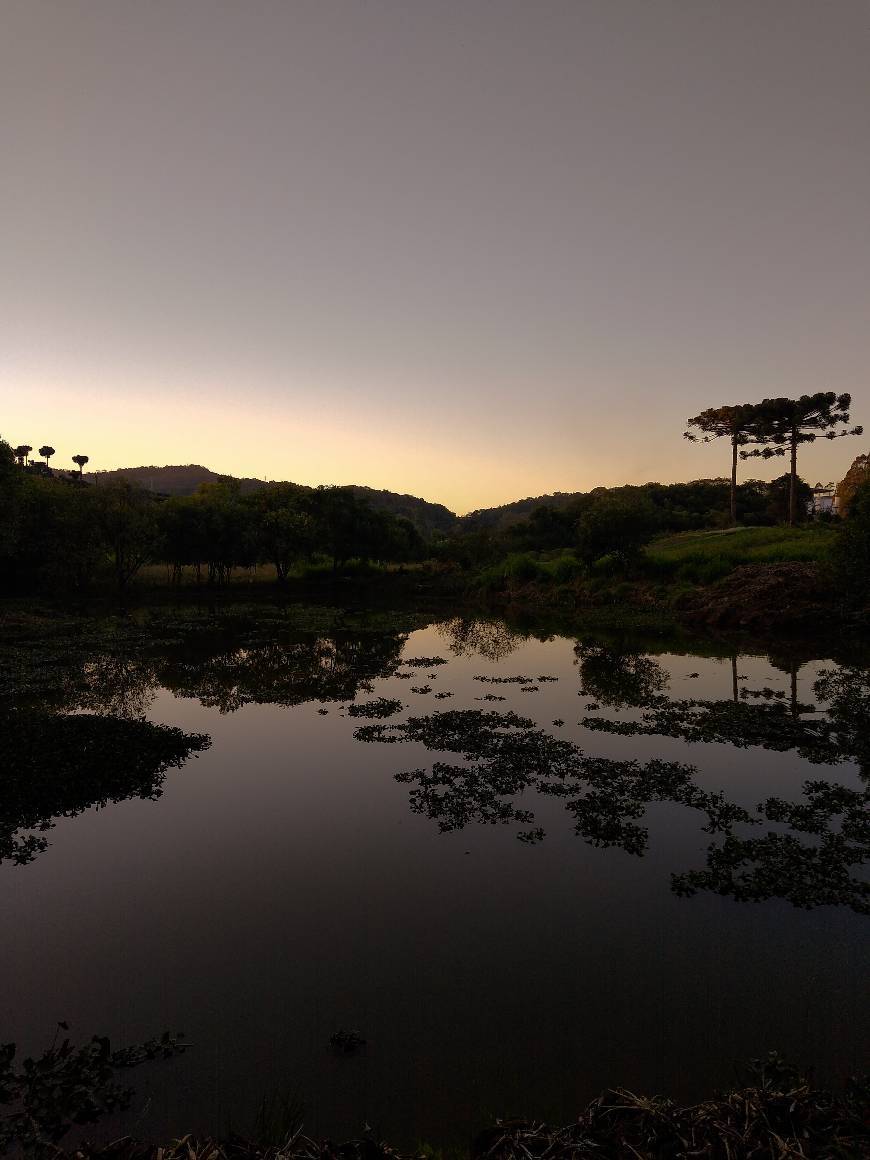 Lugar Parque Municipal da Uva