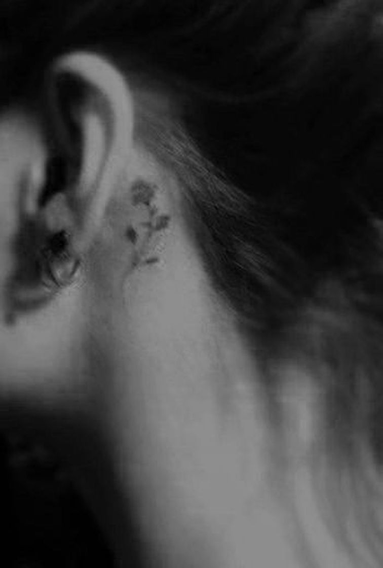 Social Tatuagens 