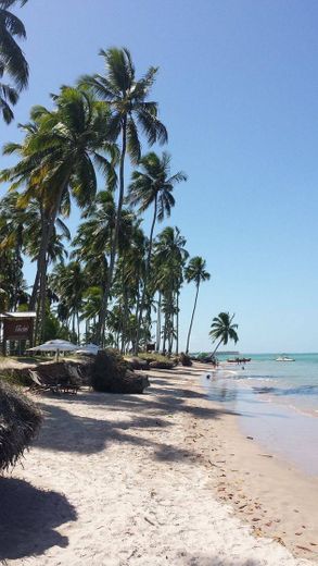 Praia do carneiro 