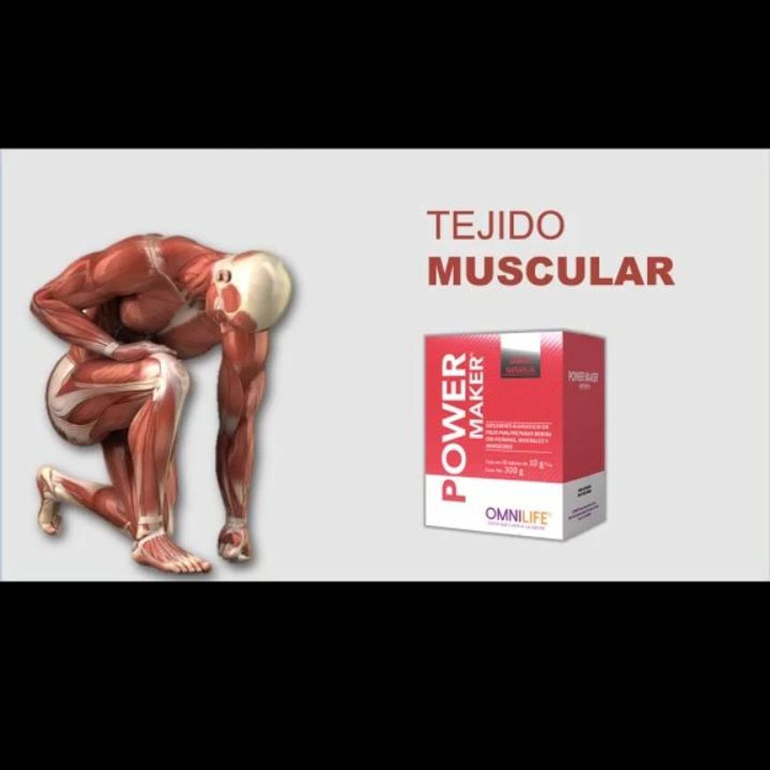 Moda Sistema muscular 