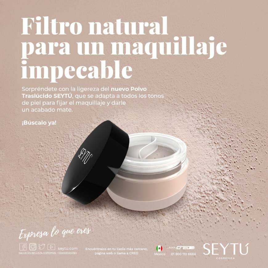 Fashion Nuevo polvo compacto 