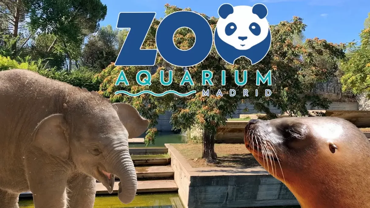 Places Zoo acuarium Madrid 