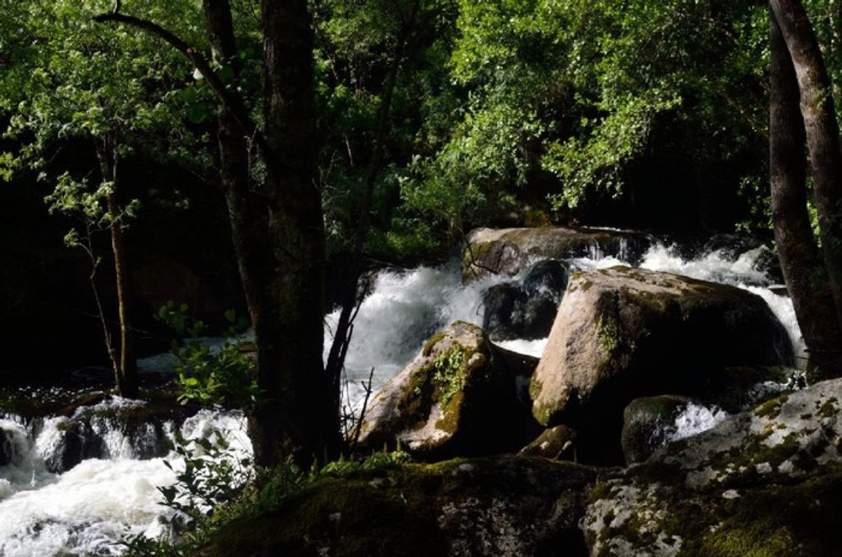 Lugares Ruta (Ourense) Paseo por el Río Lonia - Wikiloc