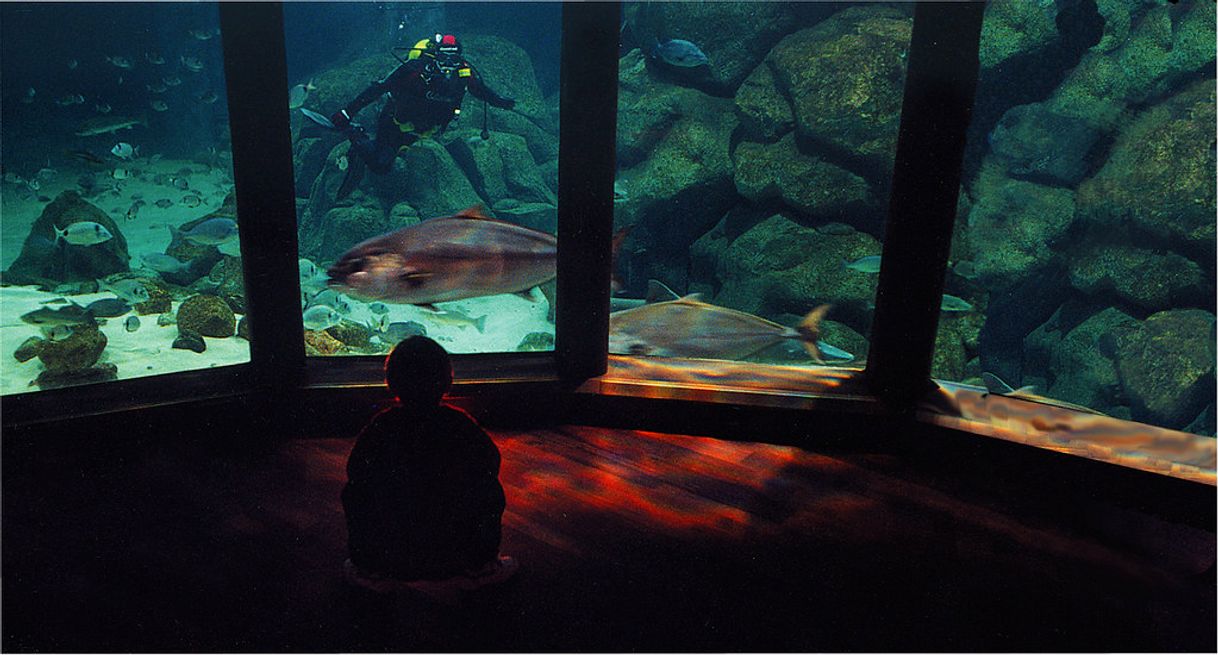 Lugar Aquarium Finisterrae